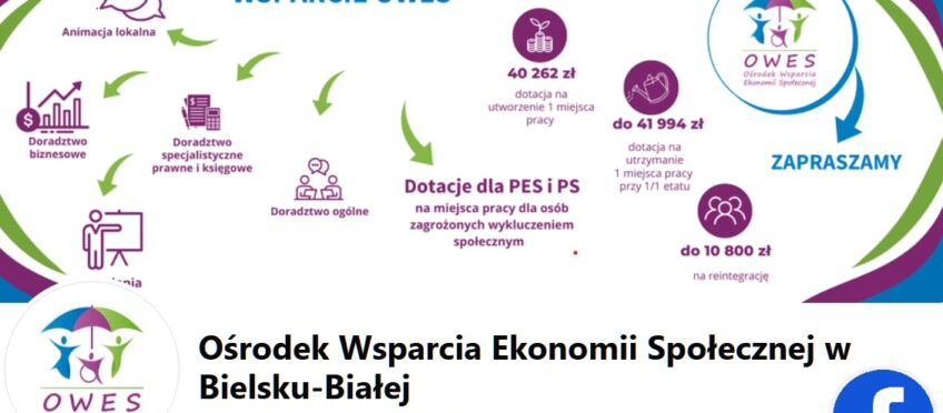 Spotkanie informacyjne online nt. pożyczek z umorzeniem dla podmiotów ekonomii społecznej