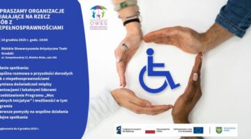 Spotkanie dla NGO działających na rzecz osób z niepełnosprawnościami 