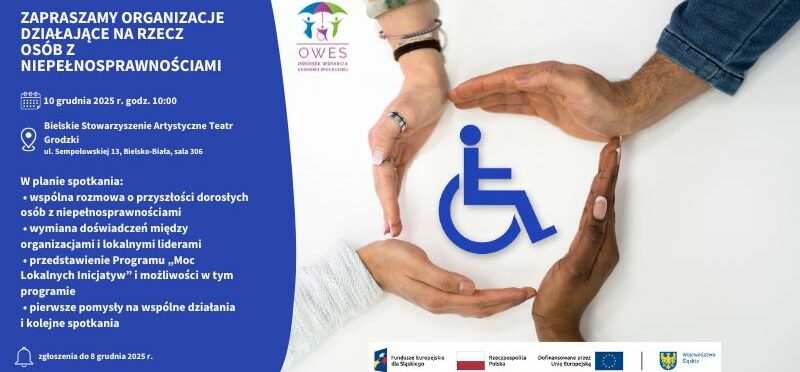 Spotkanie dla NGO działających na rzecz osób z niepełnosprawnościami 