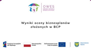 Wyniki oceny biznesplanów w BCP